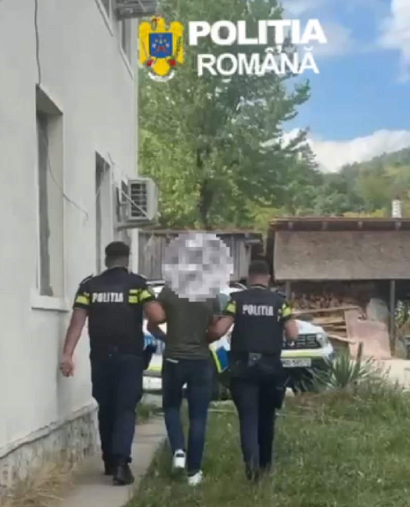 Bărbat din Isverna, reținut după ce ar fi tăiat și furat arbori dintr-o pădure