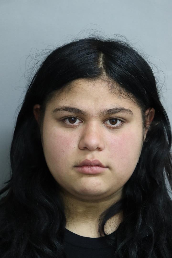 O fată de 13 ani din Mehedinți a dispărut. Poliția cere ajutorul populației