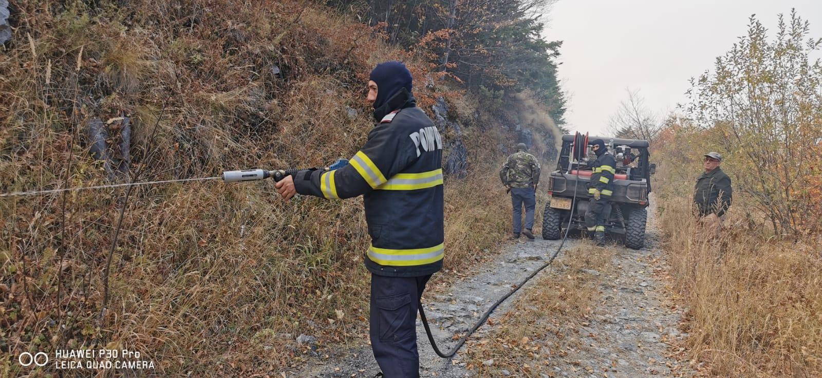 Alte trei incendii de vegetație uscată și fond forestier se desfășoară în aceste momente pe raza județului Mehedinți